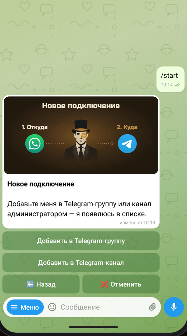 The bot offers to be added to a Telegram group or a Telegram channel